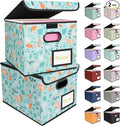 BALEINE File Organizer Box with Lid, Collapsible File Folder Organizer with Plastic Slide, Hanging File Folder Box for Office Document Storage (2 Pack, Spring Stroll)
