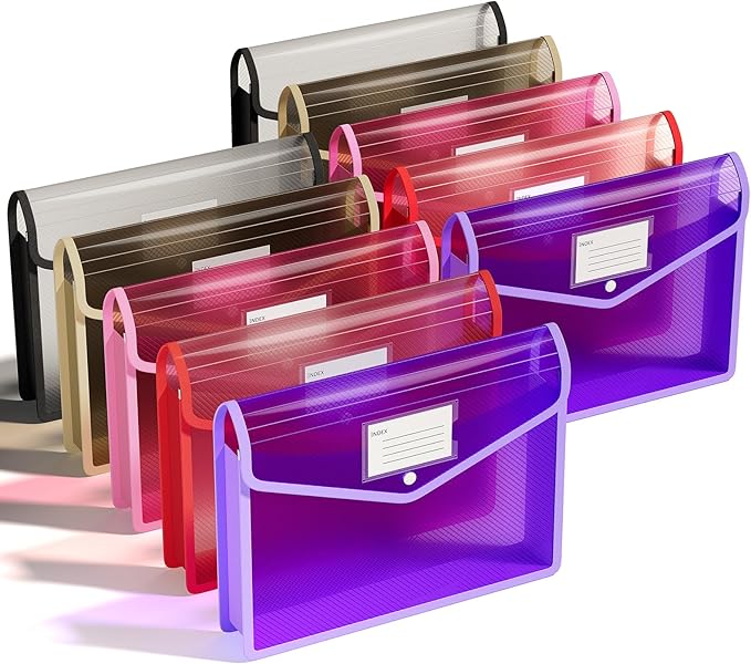 ThinkTex Plastic Expanding File Folder, Transparent envelopes with Snap | No Dividers,Large Capacity,Document Organizer for Receipts, Bills&Taxes,Letter/A4 Size for School/Office/Home-10 Pack