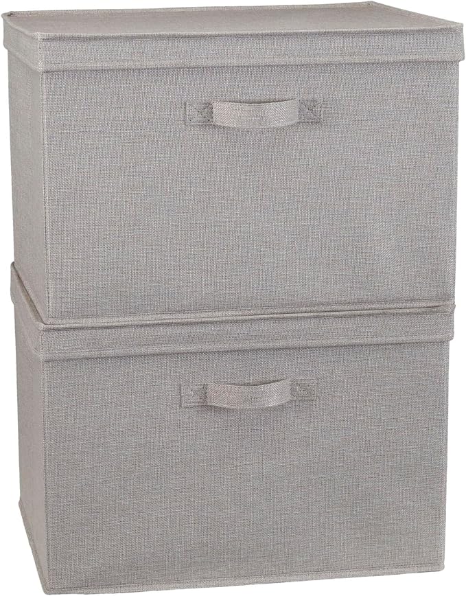 Household Essentials Large Storage Bin with Lid, Sturdy Sides and Base with Front Handle, Silver