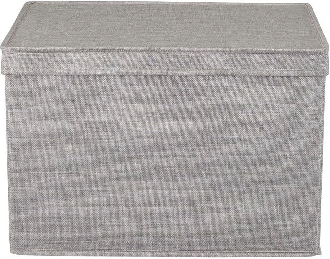 Household Essentials Large Storage Bin with Lid, Sturdy Sides and Base with Front Handle, Silver
