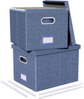 Oterri 2 Pack File Storage Organizer, Document Organizer, Portable File Box with Lid, Fit for Letter/Legal File Folder Storage,Blue-Box only