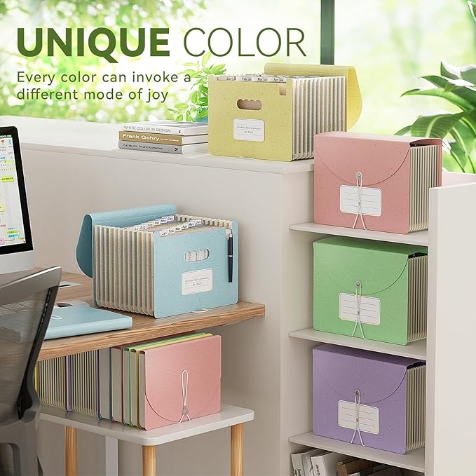 EcoStash Accordion File Organizer, 12-Pocket Wheat Straw Expanding File Folder, Portable Monthly Bill & Tax Receipt Organizer, Letter/A4 Size Document Holder with Colorful Tabs-Sky Blue