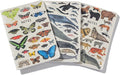 High Note Animal Themed Composition Notebook Journal, 3 Pack, 5.75" x 8.25", 64 Wide Ruled Pages, Small Notebooks for School, Journaling, Writing, Planner, by Kelsey Oseid