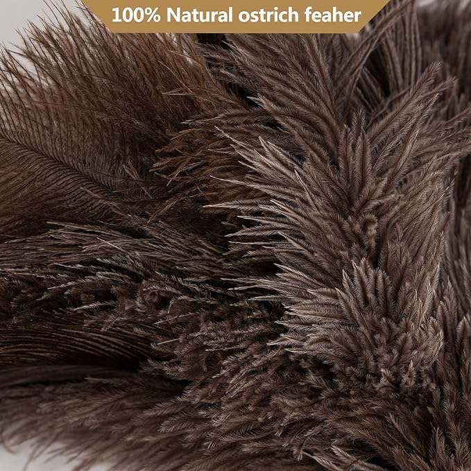 Genuine Ostrich Feather Duster with Wood Handle, 16 inch Gray | Aldwin Fluffy Natural Reusable Duster, Eco-Friendly Handheld Cleaning Duster for Car, Home, Office and Kitchen