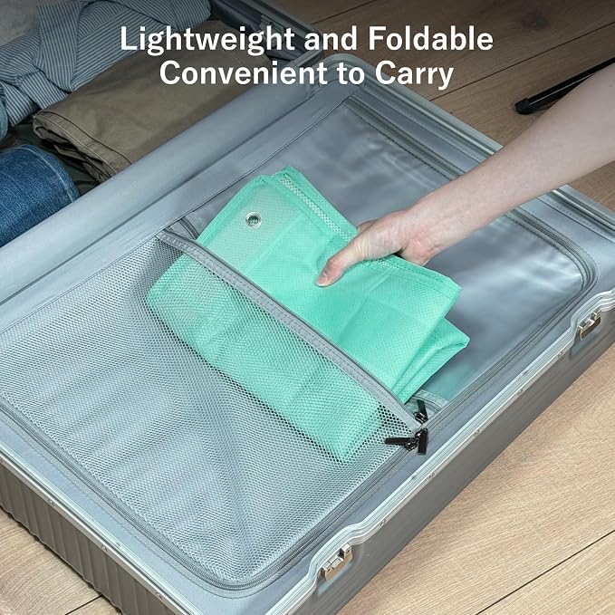 F-color Over the Door Organizer for Cruise - 16-Pocket Hanging Organizer | Tool-Free Mount with 4 Metal Hooks, See-Through Mesh Pockets, Lightweight & Foldable, Space-Saving for Travel and Daily Use