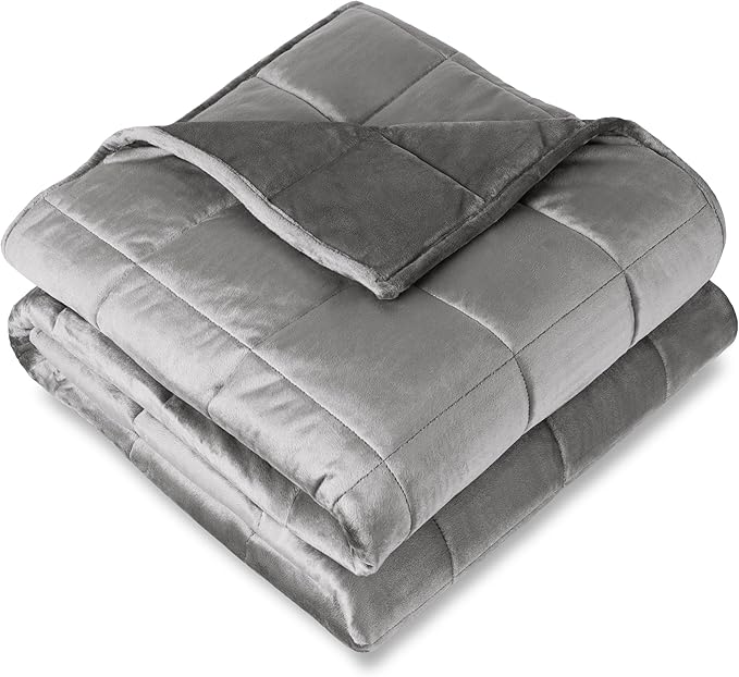 Bare Home Weighted Blanket Twin or Full Size 10lb (40" x 60") - Minky Fleece - Premium Heavy Blanket Nontoxic Glass Beads (Light Grey, 40"x60")