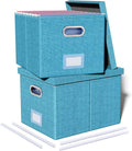 Oterri 2 Pack File Storage Organizer, Document Organizer, Portable File Box with Lid, Fit for Letter/Legal File Folder Storage,Calamine Blue+Cobalt Green,Box only