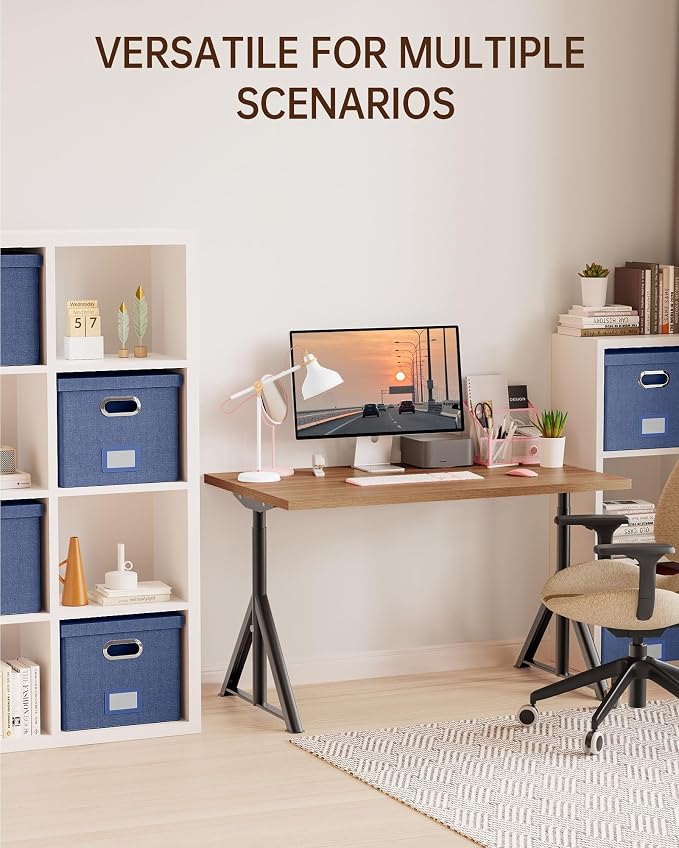 Oterri 2 Pack File Storage Organizer, Document Organizer, Portable File Box with Lid, Fit for Letter/Legal File Folder Storage,Blue-Box only