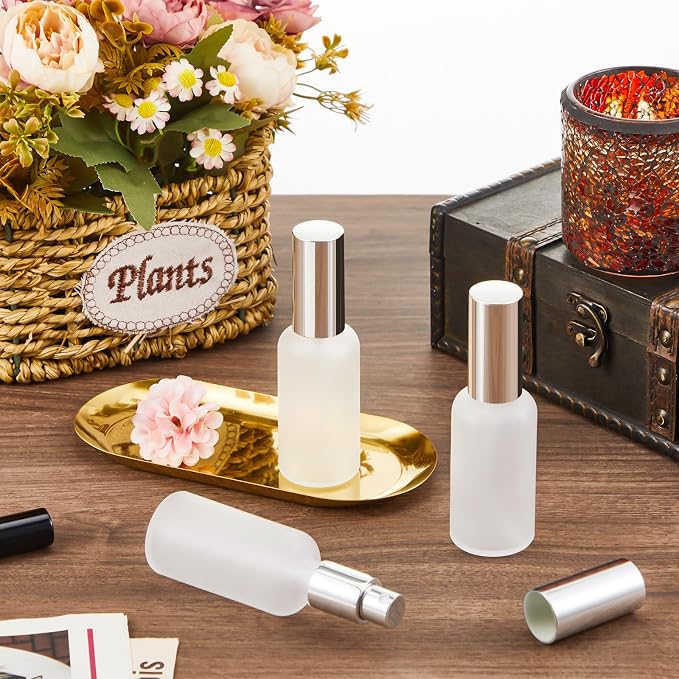Roshtia 30 Pcs Glass Spray Bottle Clear Empty Bottles Small Refillable Reusable Perfume Bottle with Fine Mist Sprayer Pump for Face Body Travel(1.69 oz,Silver)