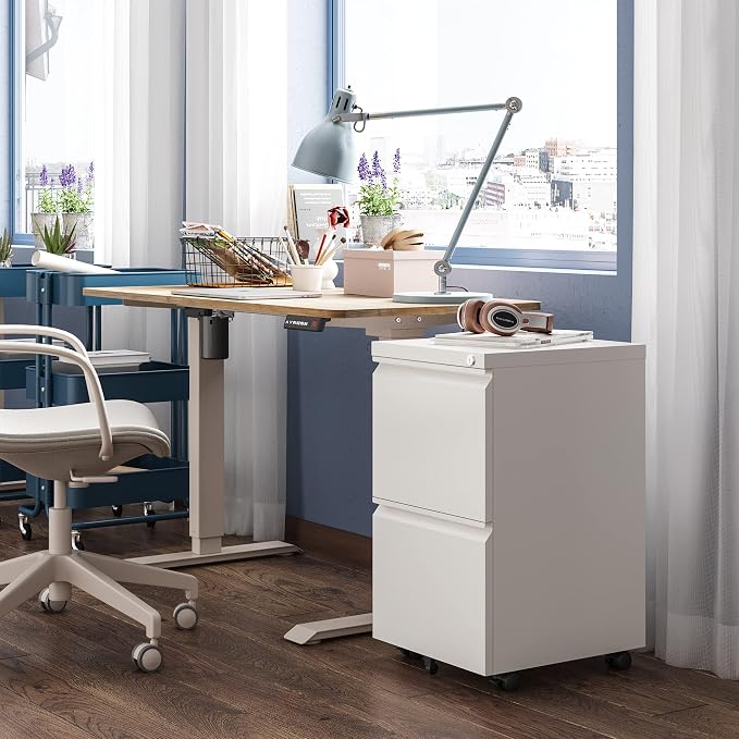 DEVAISE 2 Drawer File Cabinet with Lock for Home Office, Fully Assembled | Under Desk Metal Filing Cabinet with Wheels, Fits Letter/Legal/A4 Size, White