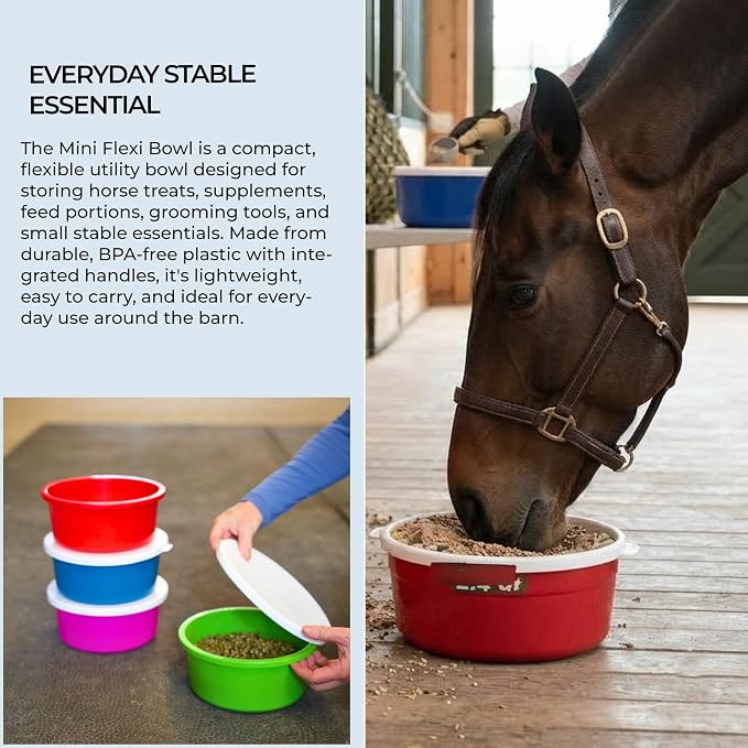 Correct Connect RCC Mini 1 Gallon Horse Feed Storage Bowl with Snap Lid, Feed Container for Treats and Supplements, BPA Free Food Grade Feed Bucket, Stackable (Red)