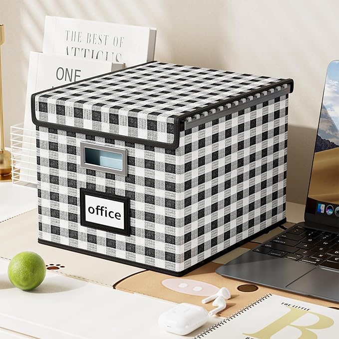 Huolewa File Organizer Box with Lid, Collapsible File Folder Organizer for Office Document Storage, Filing Box with Plastic Slide for Letter Size Hanging File Folders(1 Pack, Black & White Lattice)