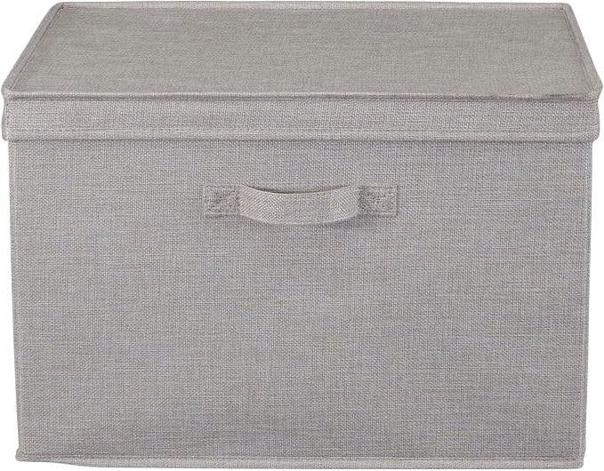 Household Essentials Large Storage Bin with Lid, Sturdy Sides and Base with Front Handle, Silver