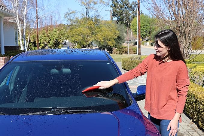 The Original California Car Duster 20080 12" Jelly Blade