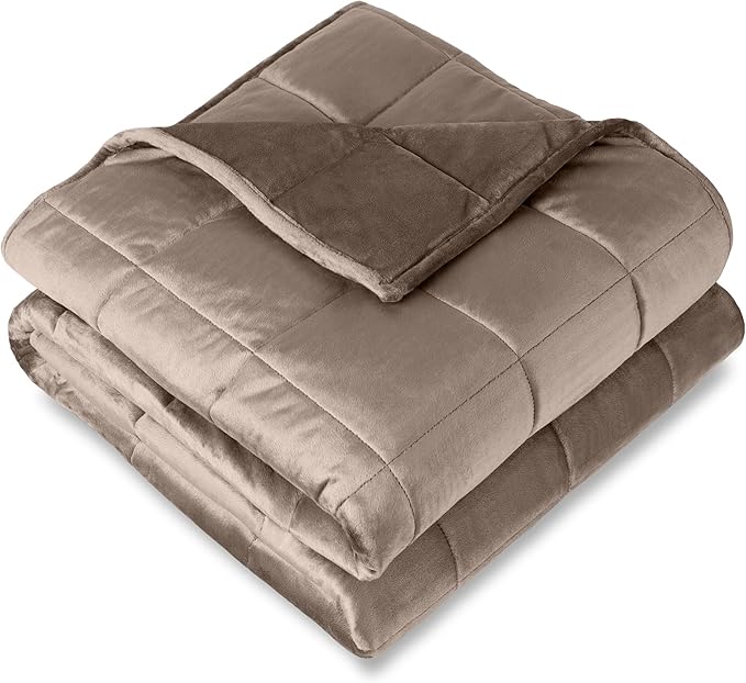 Bare Home Weighted Blanket Twin or Full Size 10lb (40" x 60") - Minky Fleece - Premium Heavy Blanket Nontoxic Glass Beads (Taupe, 40"x60")