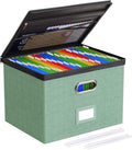 Oterri 1 Pack Large File Organizer Boxes with Lids, File Box with Mesh Pockets, Document Organizer Box for Letter/Legal Size Folders, Zippers Important Document Organizer (Green, Without Folders)