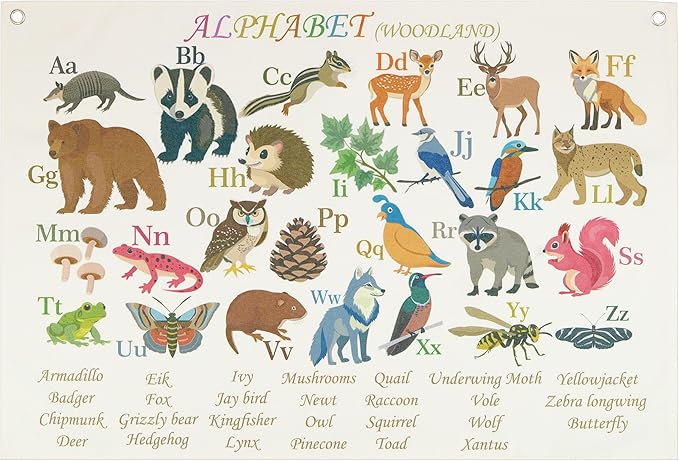 Classroom Wall Flag Decor-Teacher Gift-Inspirational Back to School Wall Banner Decor-Woodland Alphabet-Hanging Rectangular Canvas Banner for Classroom Teacher Office Reading Corner