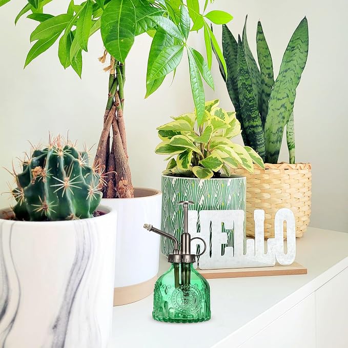 Glass Plant Mister Spray Bottle, Vintage Plant Spritzer Watering Can, Succulent Watering Bottle with Top Pump, Small Plant Sprayer Mister for Indoor Outdoor Houseplant - Green