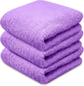 Towelogy® Super Absorbent Microfibre Cloth | Absorbs Over 10 Times its Weight in Water | Sponge-Like Absorbency | Multipurpose Scratch-Free Cleaning Cloth for Household Use (Lilac)