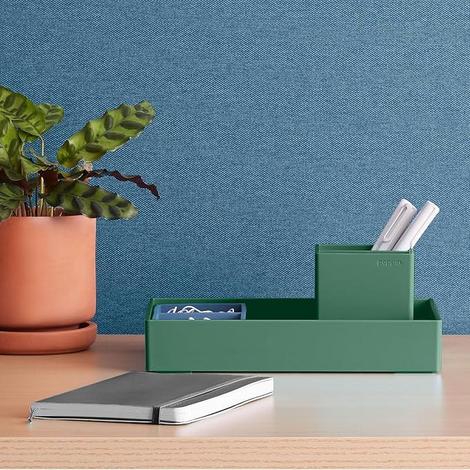 Poppin Pen Holder with 2 Compartments - Sturdy Plastic Pen Holder for Desk, Lacquer-like Finish, Writing Instrument Desk Organizer, Coordinating Office Desk Accessories (Sage)
