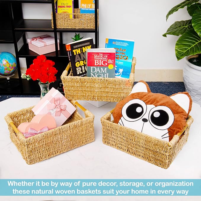 Natural Seagrass Storage Basket with Handle, Rectangular Woven Organizer Bin for Living Room or Shelf, Decorative Storage Basket, Medium Size 13.4 x 9.3 x 4.9 Inches